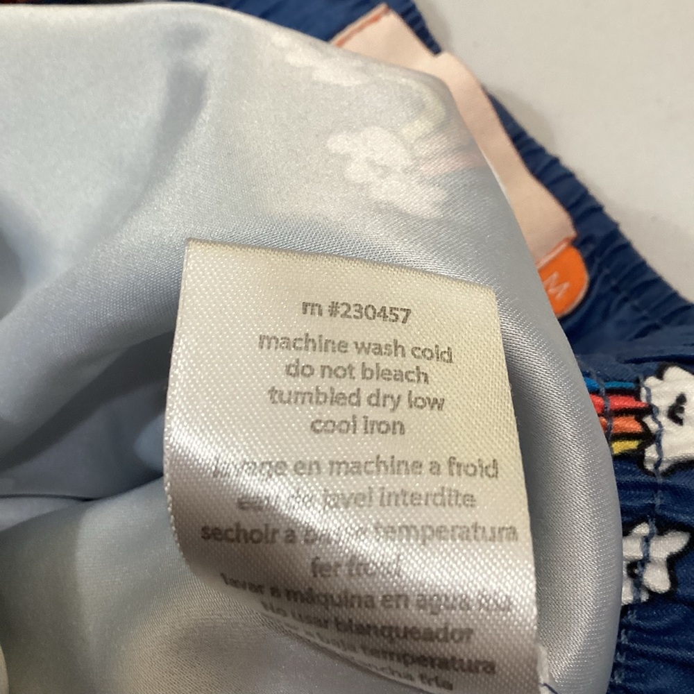 Pacsun Ambsn California Rainbow Swim Trunks - Picture 6 of 8
